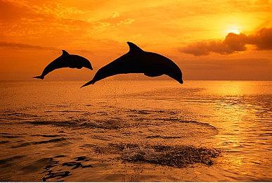 《最终幻想7：重制版》爱丽丝裙装礼服设计图 很漂亮