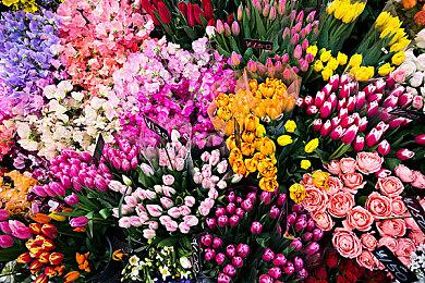 果然是第一生产力 《明末：渊虚之羽》已有成人MOD  